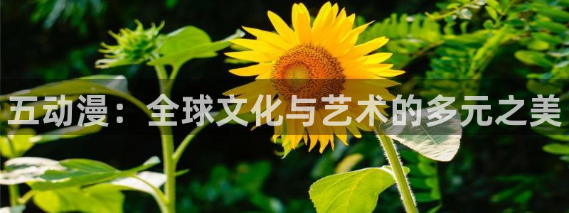 囧次元app免费下载